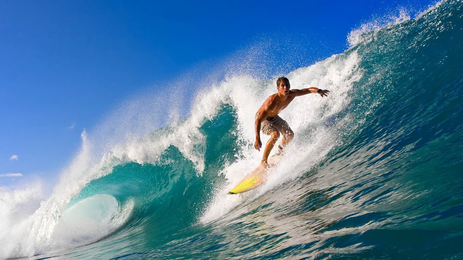 从质疑到铁闸,卡瓦哈尔用实力证明自己,几内亚对阵西班牙的隐形英雄